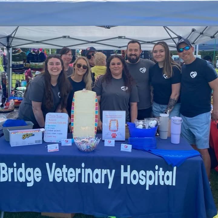 Locally Owned Veterinarian in Point Pleasant, NJ