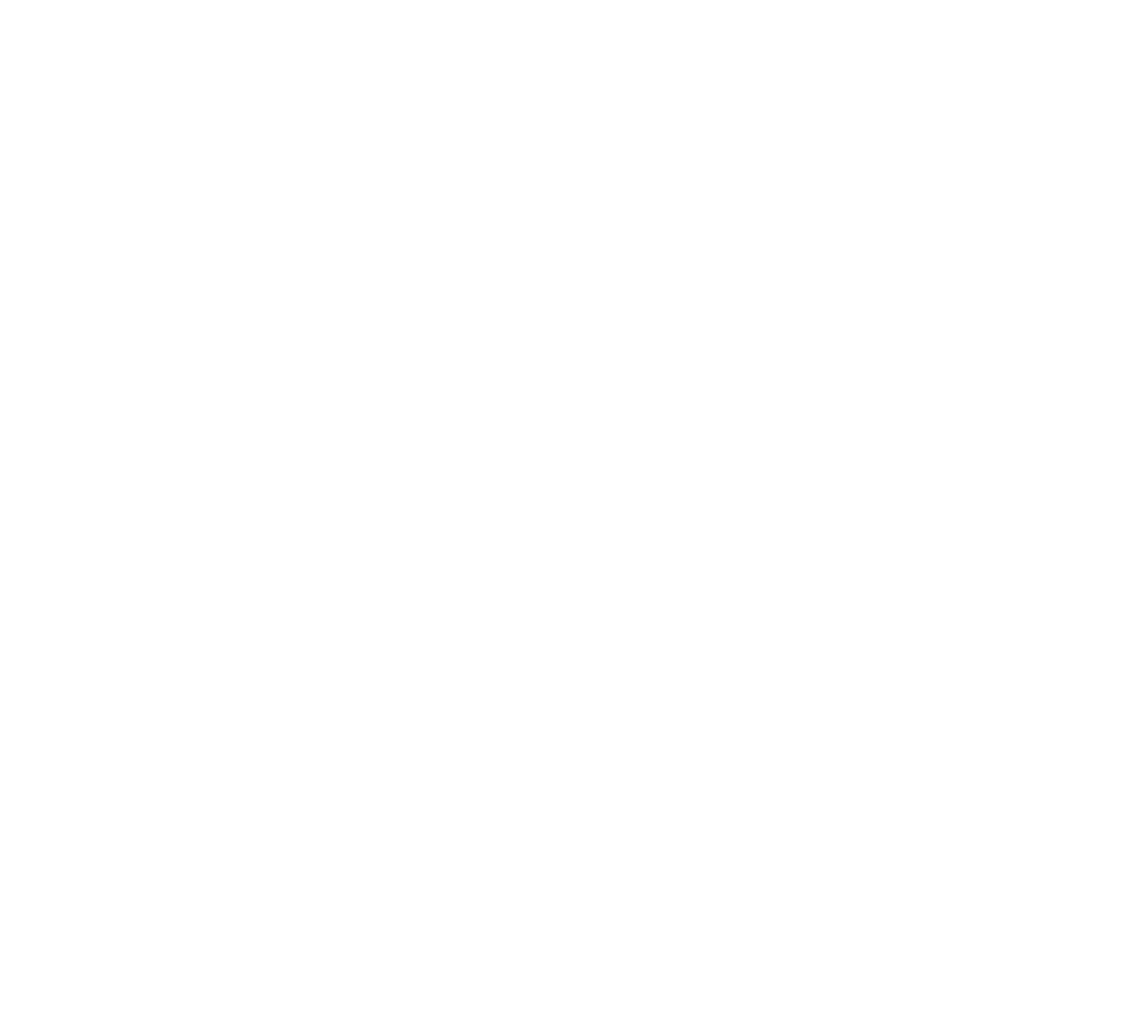 Bridge Veterinary Hospital